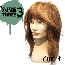Load image into Gallery viewer, Cutting Course THREE | eCourse