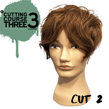 Load image into Gallery viewer, Cutting Course THREE | eCourse