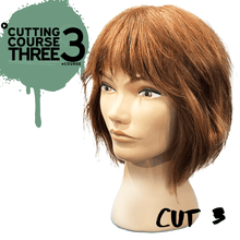 Load image into Gallery viewer, Cutting Course THREE | eCourse